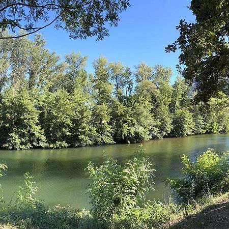 La Magnanerie D'Hotes ,Le Jardin Secret Sauve Buitenkant foto