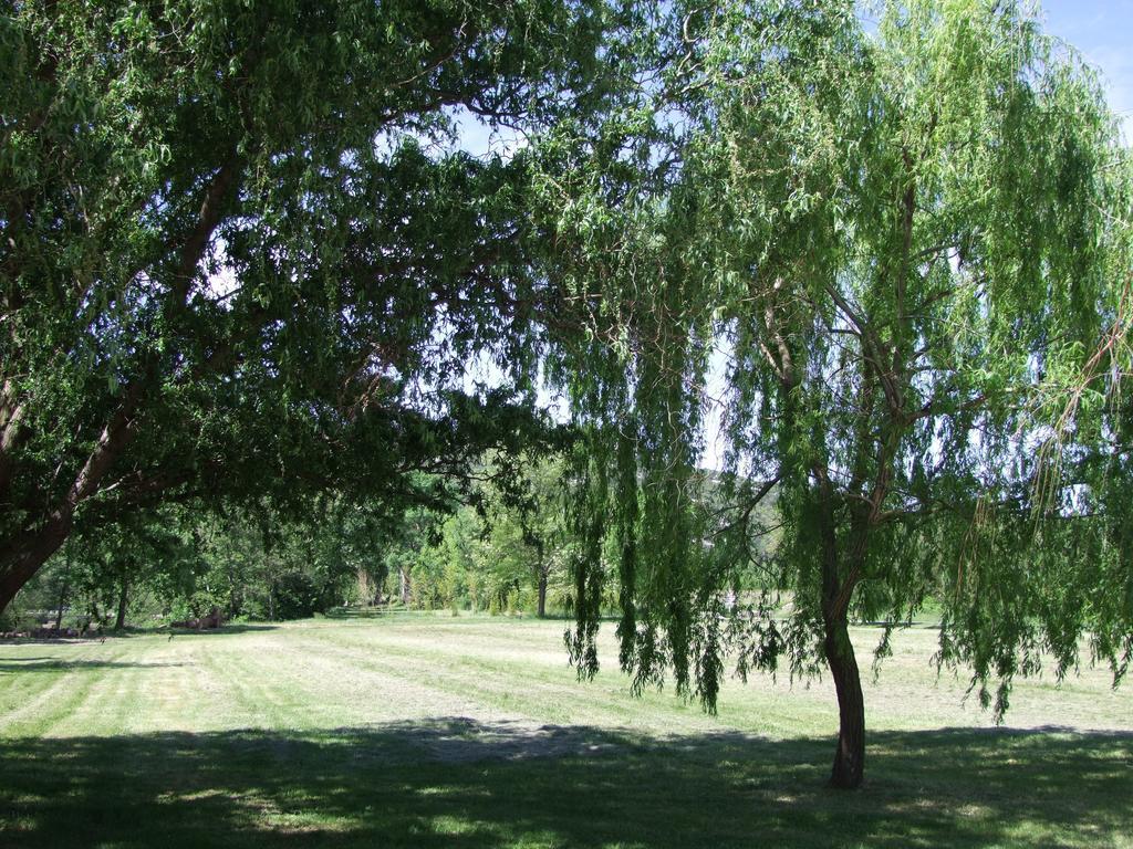 La Magnanerie D'Hotes ,Le Jardin Secret Sauve Buitenkant foto